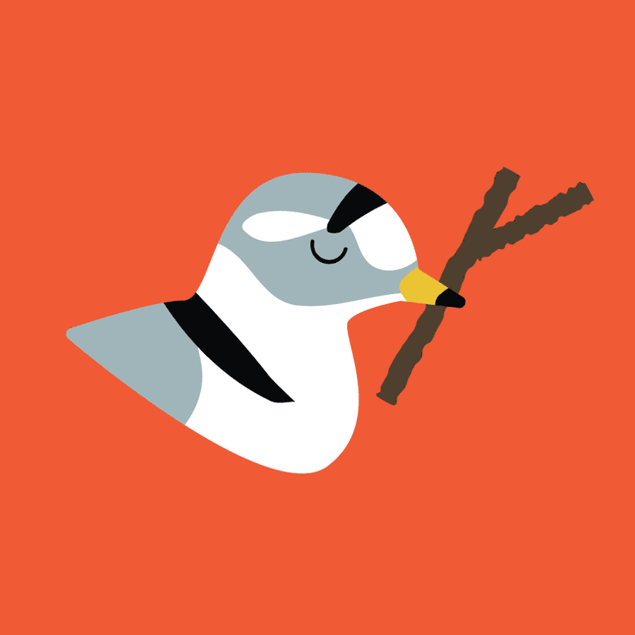 A simple orange illustration of a Piping Plover holding a stick